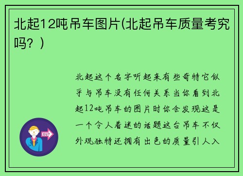 北起12吨吊车图片(北起吊车质量考究吗？)