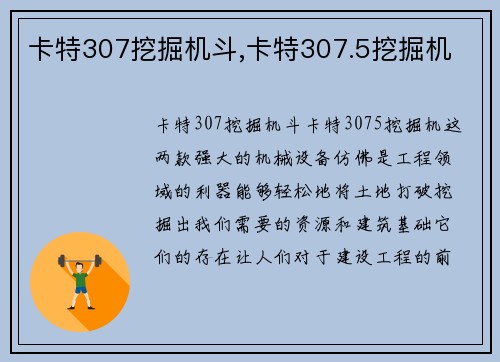 卡特307挖掘机斗,卡特307.5挖掘机